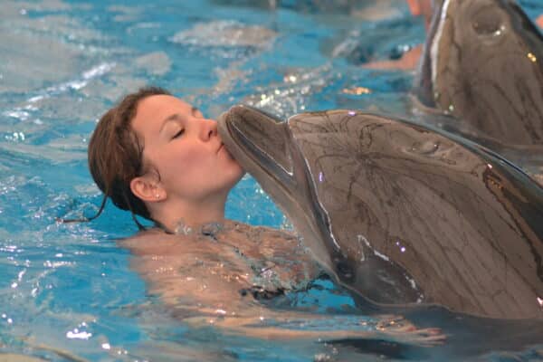 Dolphin Show Phuket Ticket