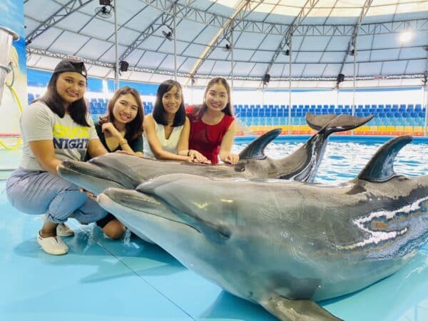 Dolphin Show Phuket Tickets