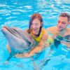 Dolphin Show Tickets Phuket