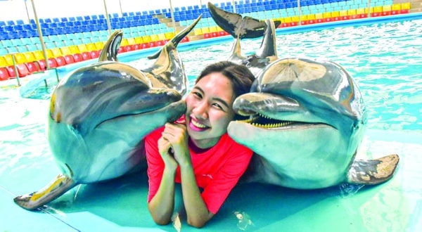 Dolphins Bay Phuket Tickets