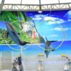 Phuket Dolphin