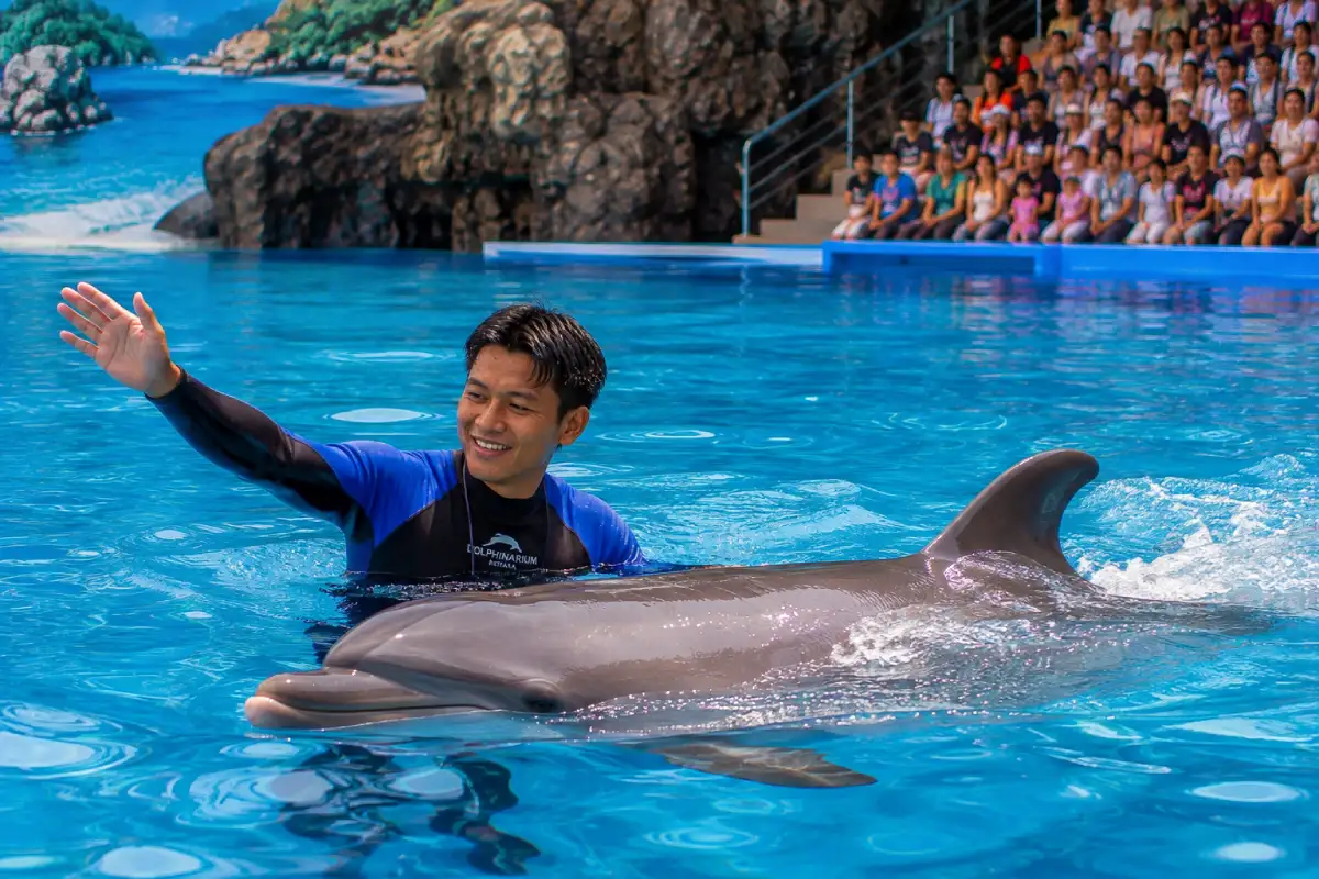 Pattaya Dolphinarium