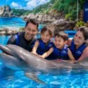 Pattaya Dolphinarium