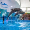 Pattaya Dolphinarium