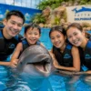 Pattaya Dolphinarium