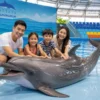 Pattaya Dolphinarium