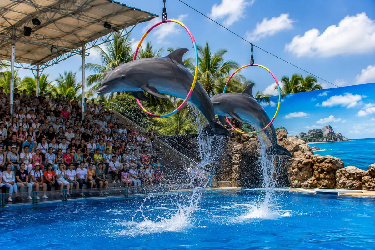 Pattaya Dolphinarium