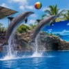 Pattaya Dolphinarium