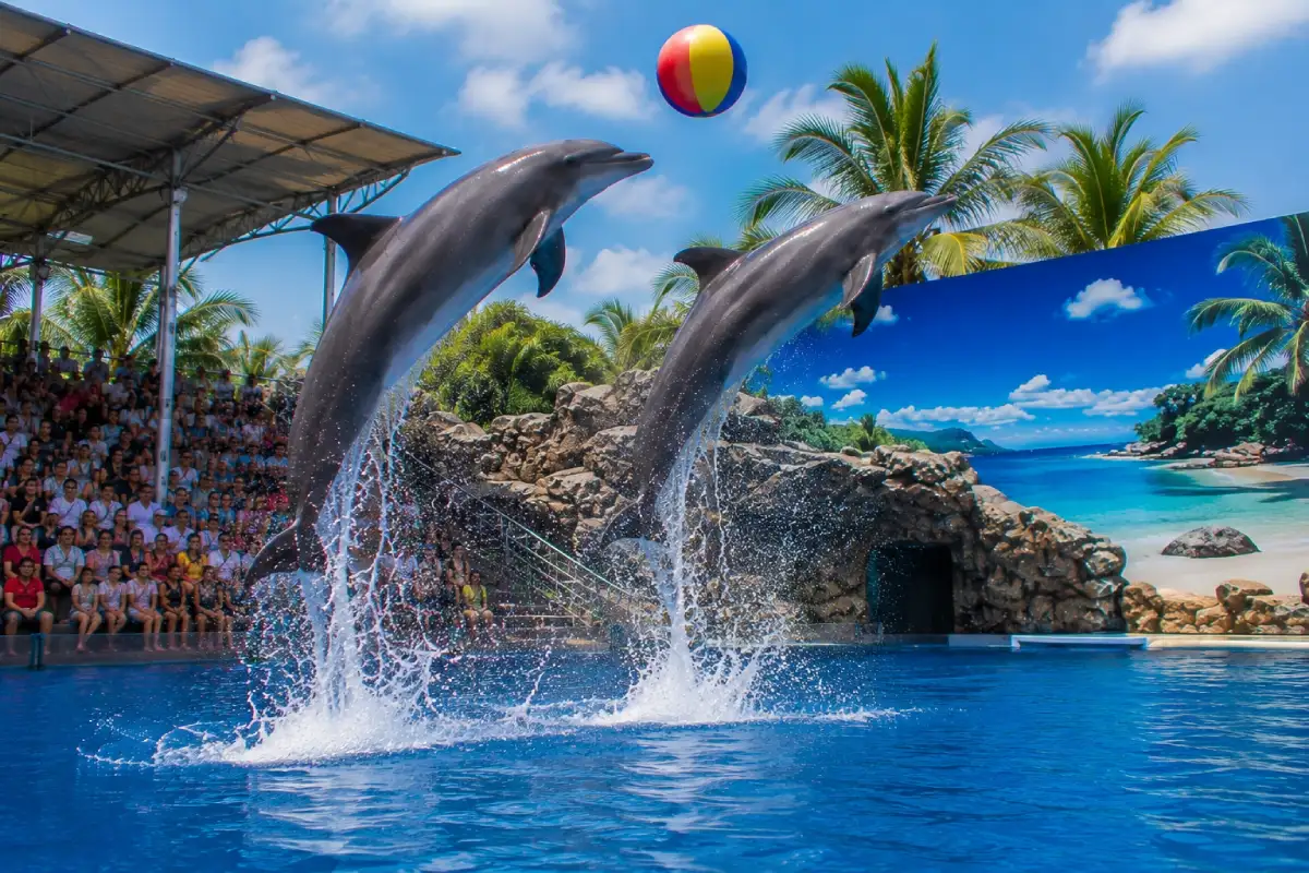 Pattaya Dolphinarium