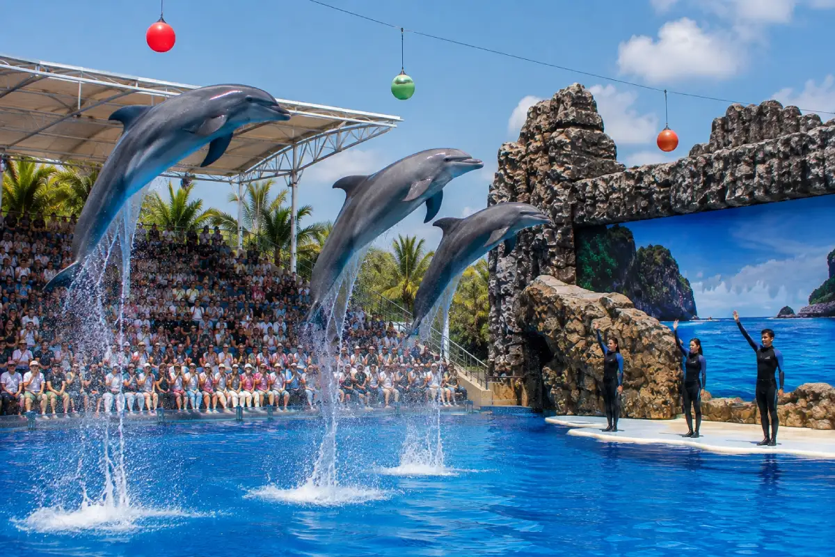 Pattaya Dolphinarium