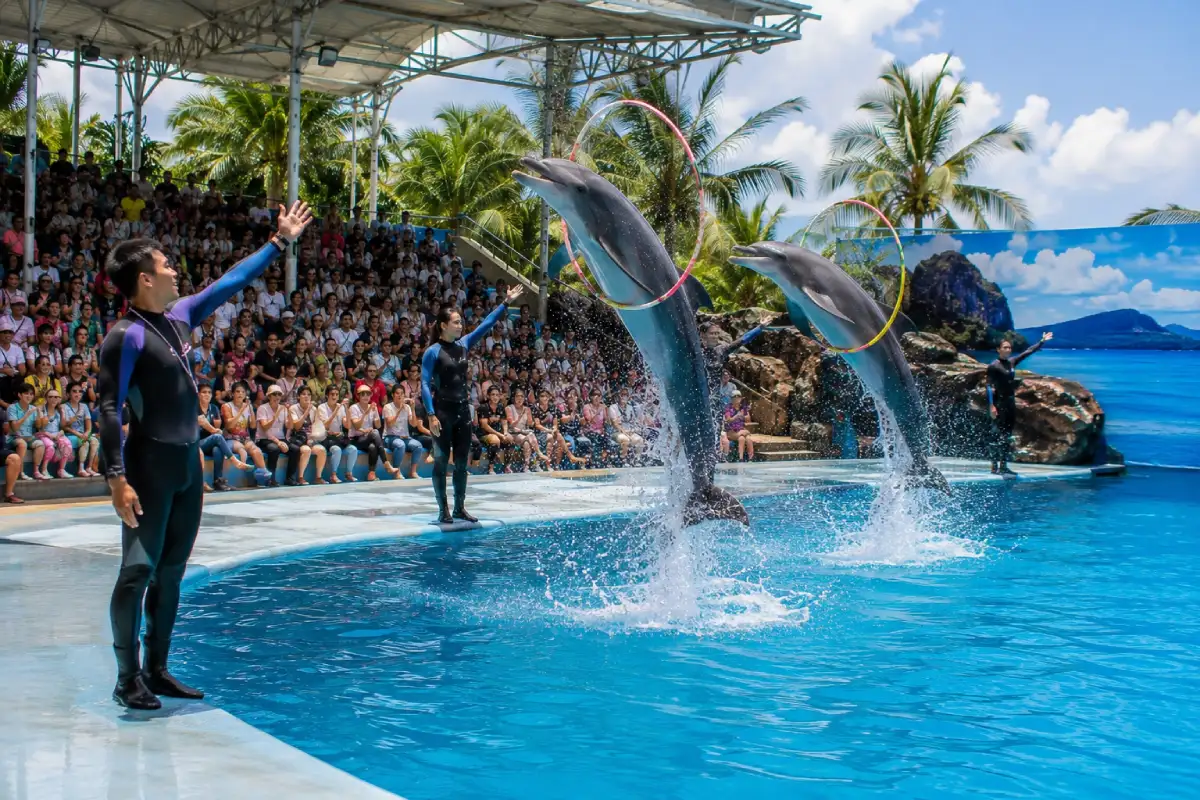 Pattaya Dolphinarium