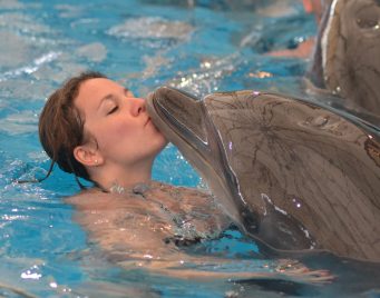 Dolphin Show Phuket Ticket Dolphin Show Phuket Ticket