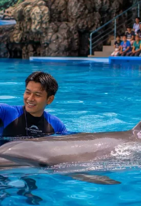 Pattaya Dolphinarium