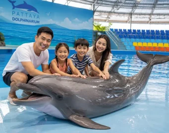 Pattaya Dolphinarium
